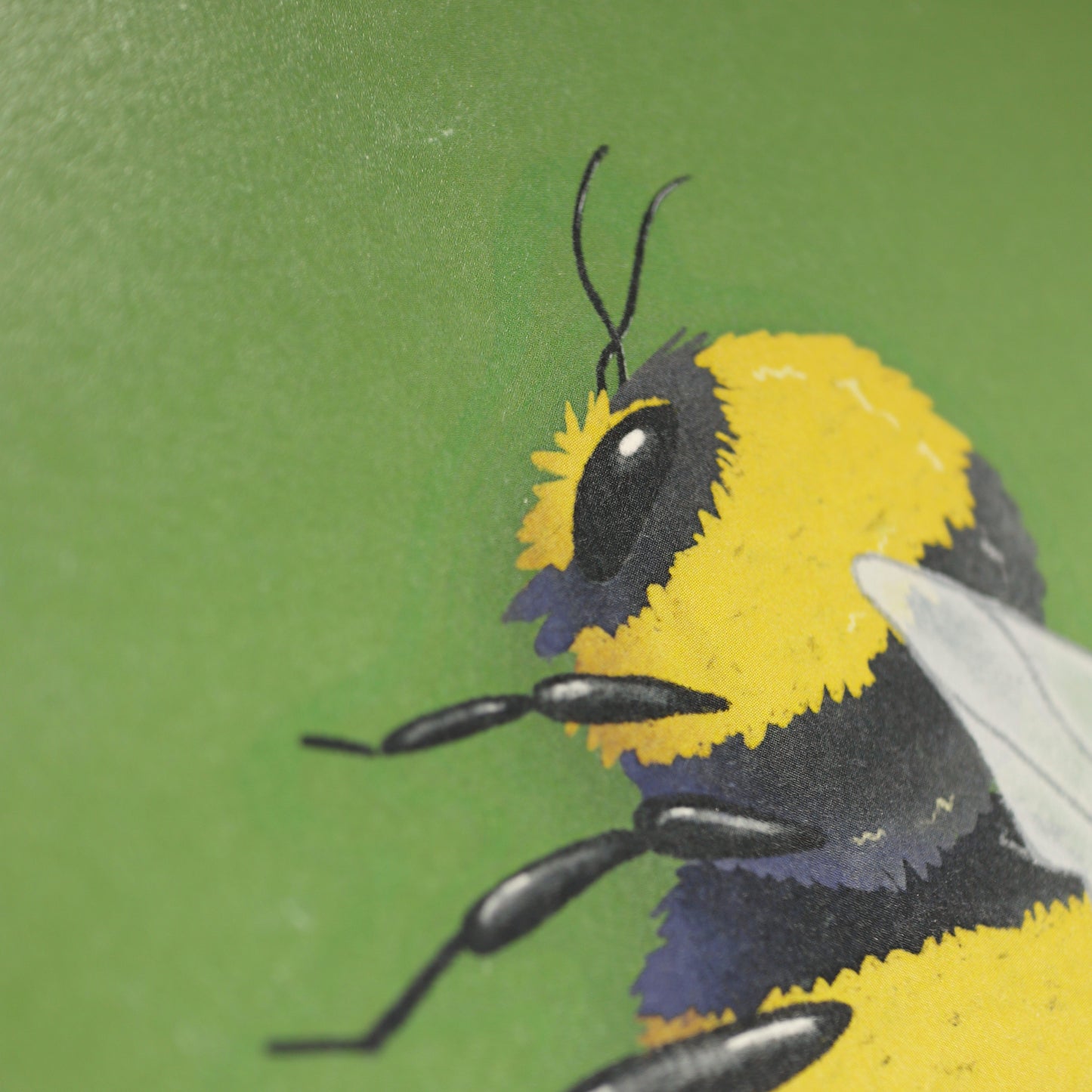 Bumblebees A5 Print