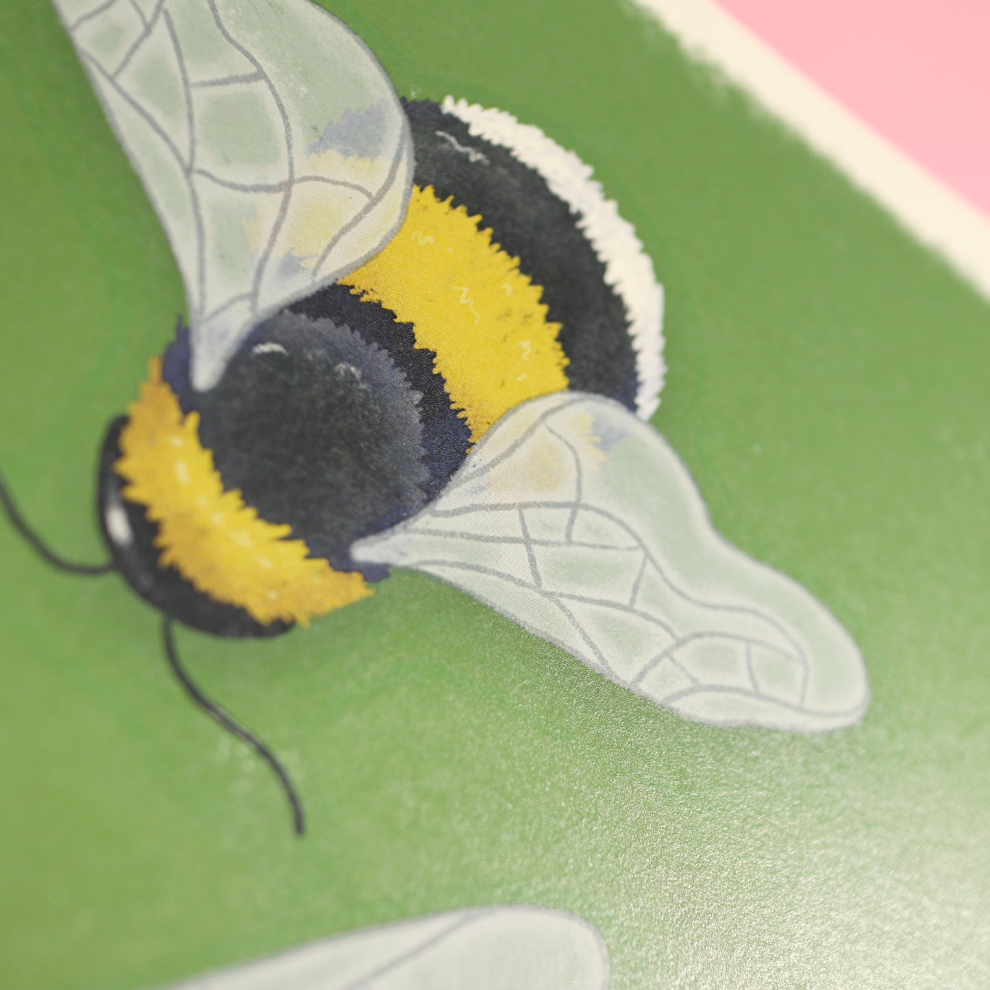 Bumblebees A5 Print