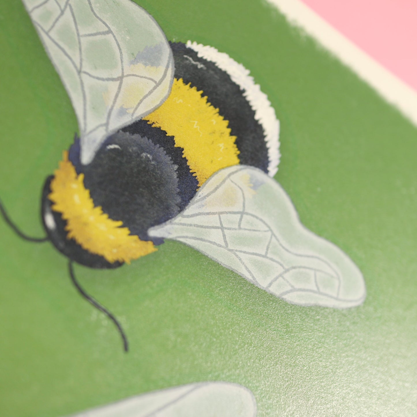 Bumblebees A4 Print